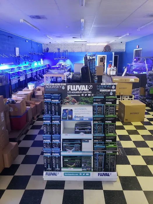 Boardroom Aquariums Picture 2