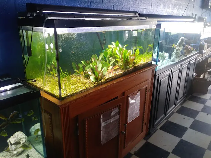 Boardroom Aquariums Picture 9