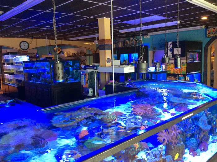Aquariums and Reef Center Picture 1