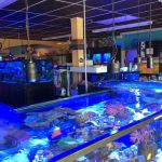 Aquariums and Reef Center