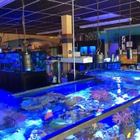 Aquariums and Reef Center ico