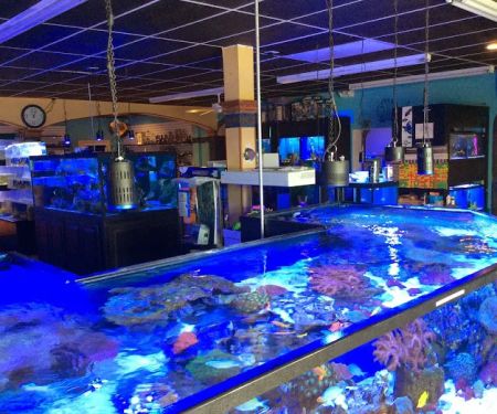 Aquariums and Reef Center