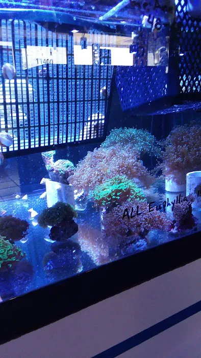 Aquariums and Reef Center Picture 7