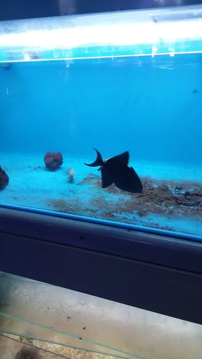 Aquariums and Reef Center Picture 5