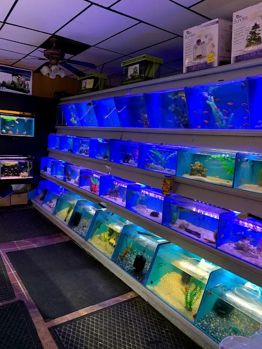 Aquariums and Reef Center Picture 3
