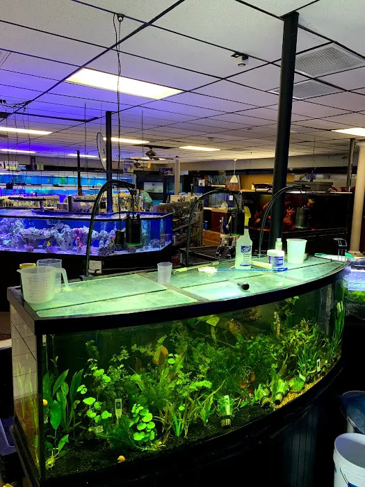 Aquariums and Reef Center Picture 8