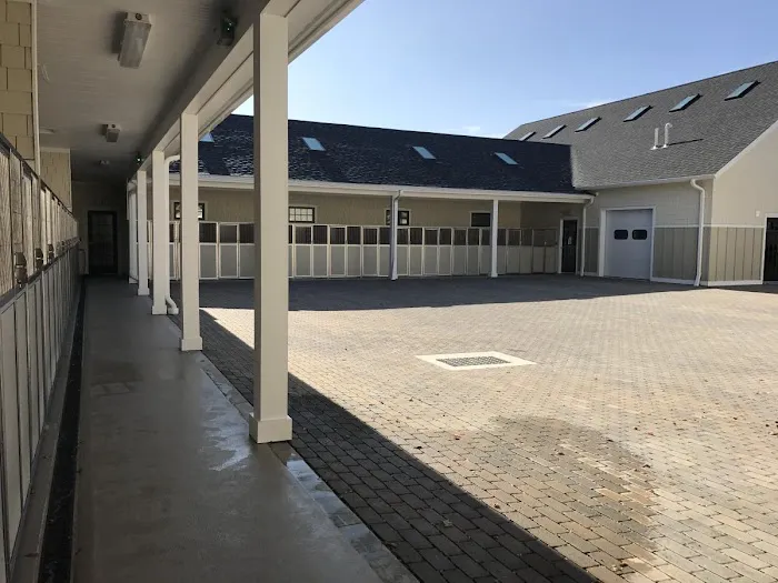 River Valley Animal Center Picture 3