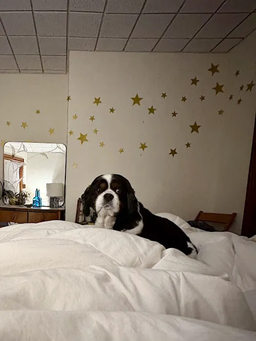 Bloomfield Animal Hospital Picture 5