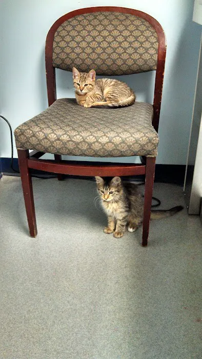 Bloomfield Animal Hospital Picture 4