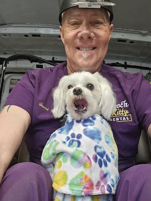 Pooch & Kitty Dental Picture 6