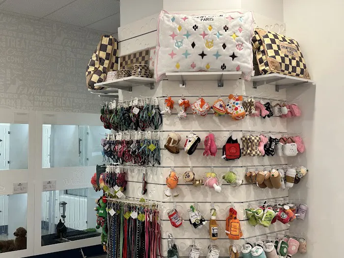 Waggles Fort Myers Picture 7