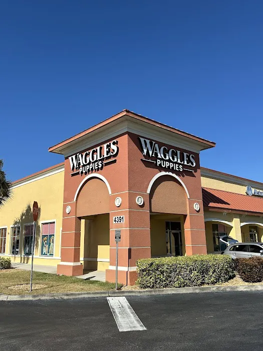 Waggles Fort Myers Picture 2