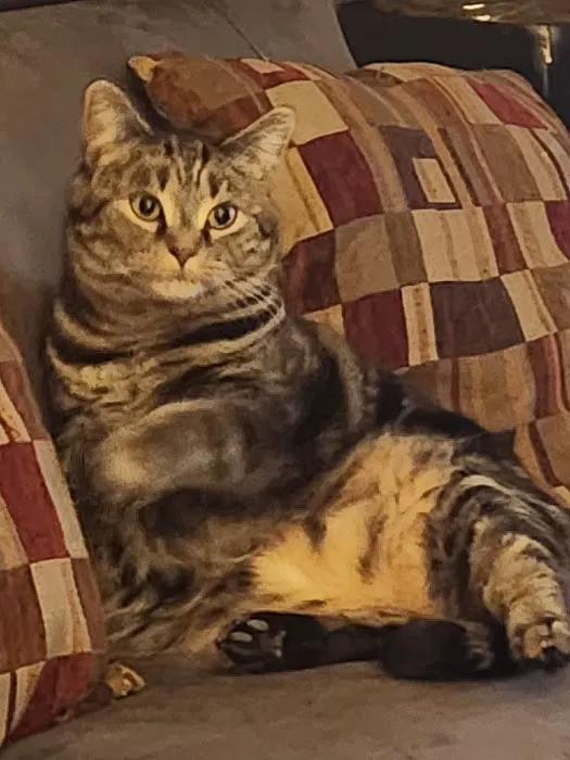 Douglas Animal Hospital LLC Picture 3