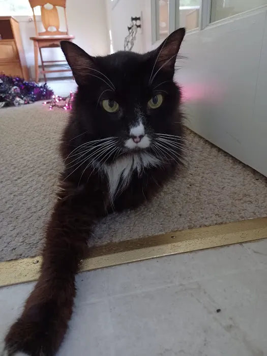 Douglas Animal Hospital LLC Picture 1