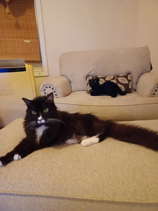 Douglas Animal Hospital LLC Picture 2