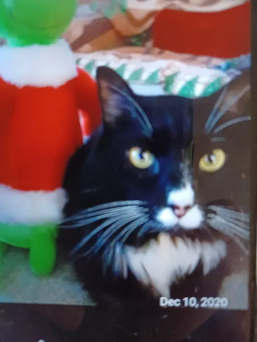 Douglas Animal Hospital LLC Picture 7