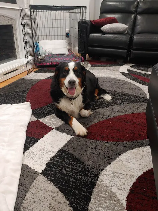 Douglas Animal Hospital LLC Picture 8