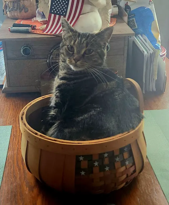 Douglas Animal Hospital LLC Picture 4