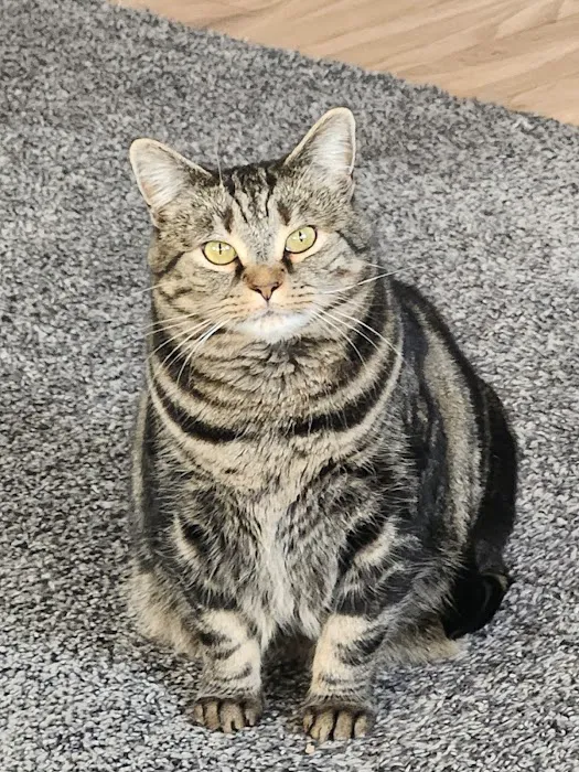 Douglas Animal Hospital LLC Picture 6