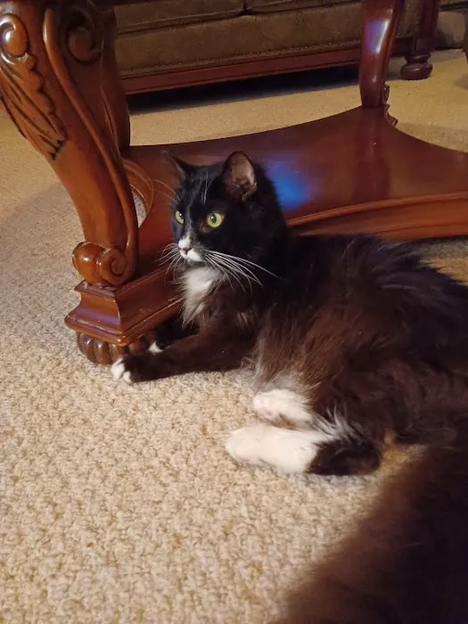 Douglas Animal Hospital LLC Picture 5