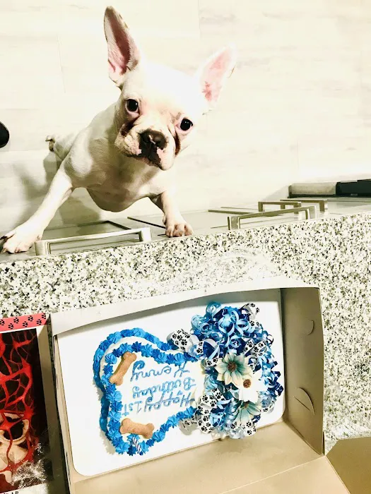 Little Paws Bakery Picture 9