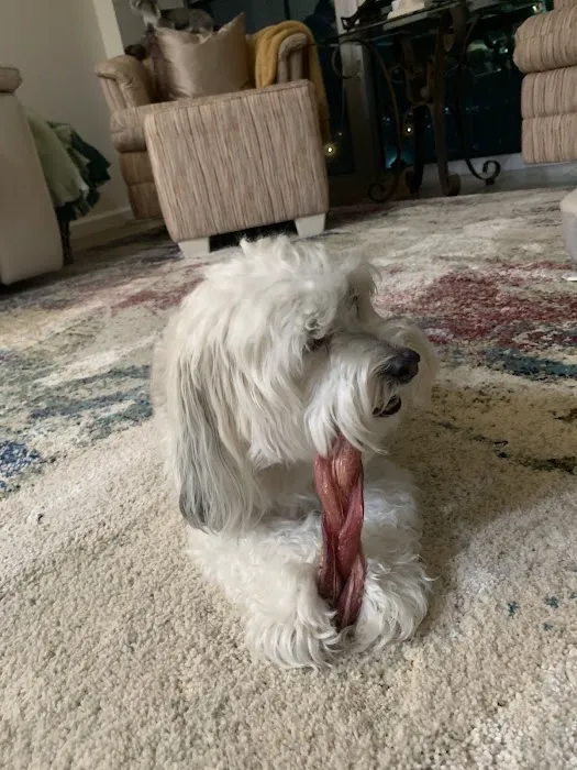 Little Paws Bakery Picture 8