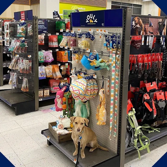 Petco Picture 5