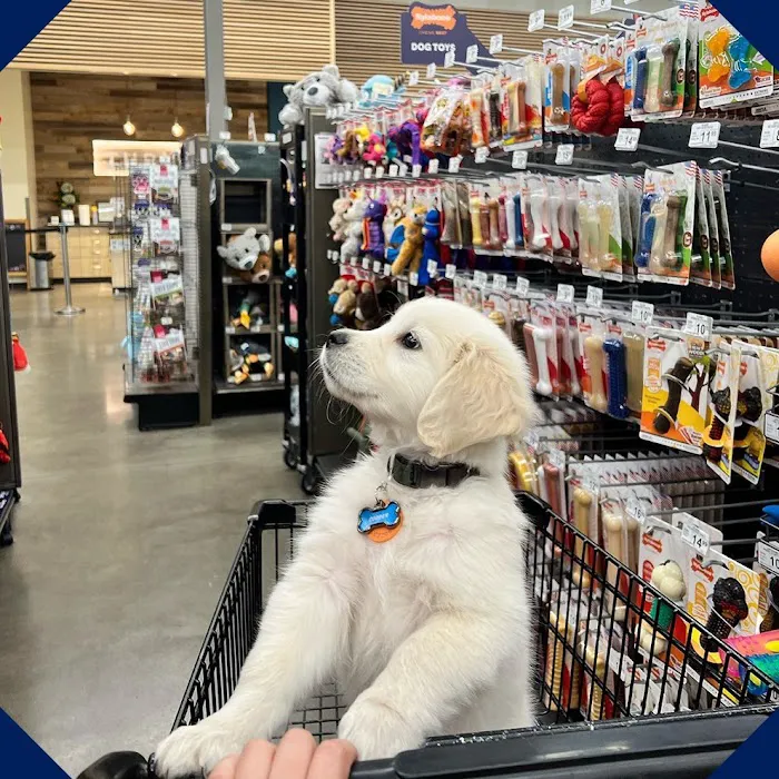 Petco Picture 4