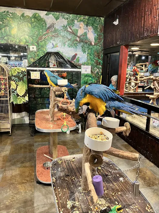 Pet Kingdom Picture 2
