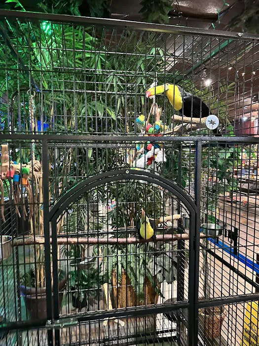 Pet Kingdom Picture 3