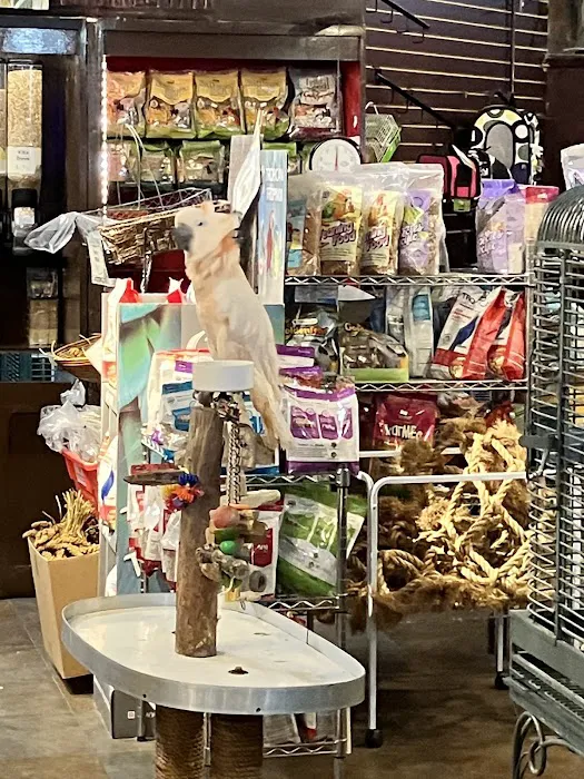 Pet Kingdom Picture 4