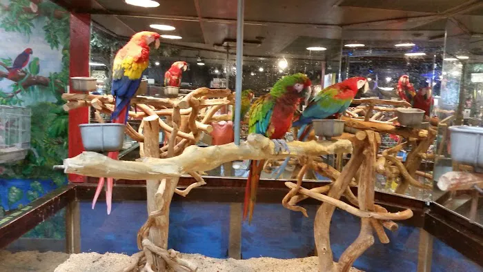 Pet Kingdom Picture 6
