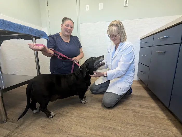 Sutton Animal Hospital Picture 2