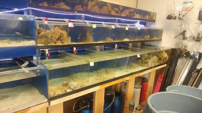 Fantastic Fish Picture 8