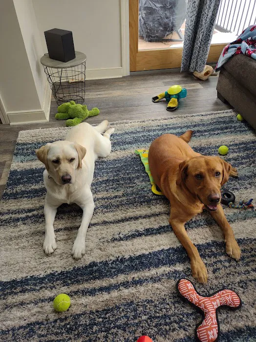 Uxbridge Animal Hospital Picture 2