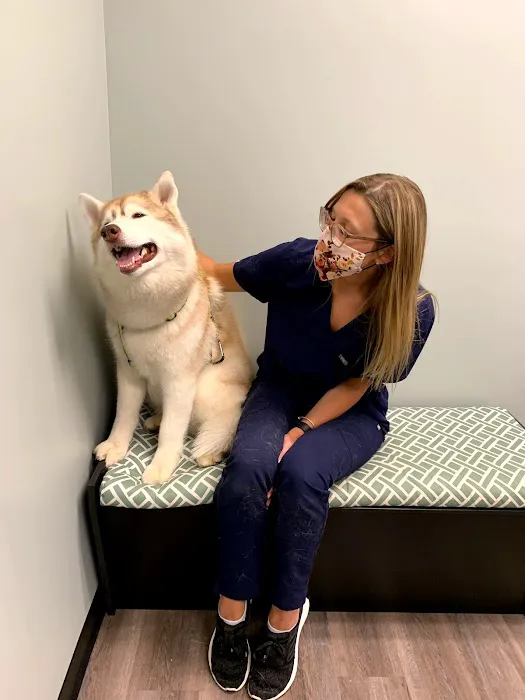 Uxbridge Animal Hospital Picture 9