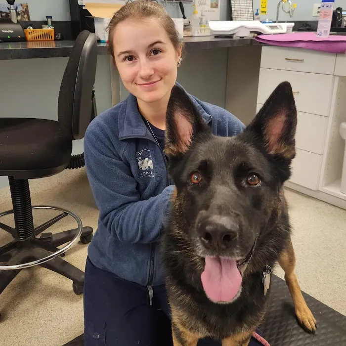 Uxbridge Animal Hospital Picture 10