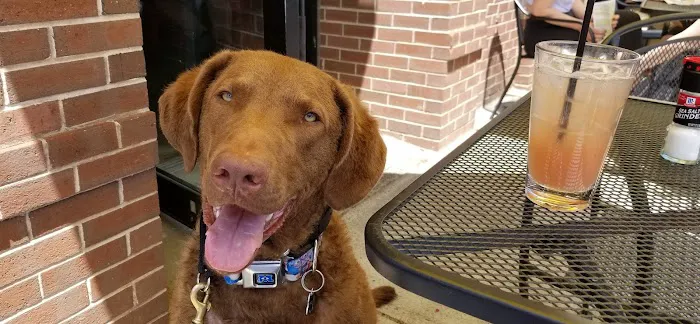 VCA Blackstone Valley Animal Hospital Picture 1