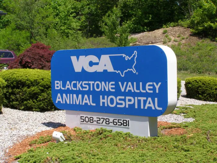 VCA Blackstone Valley Animal Hospital Picture 10