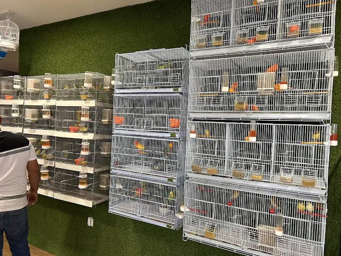 Rigos petshop Picture 2