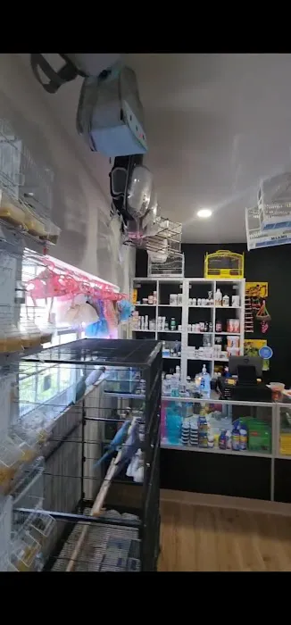 Rigos petshop Picture 10