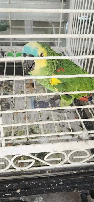 Rigos petshop Picture 8