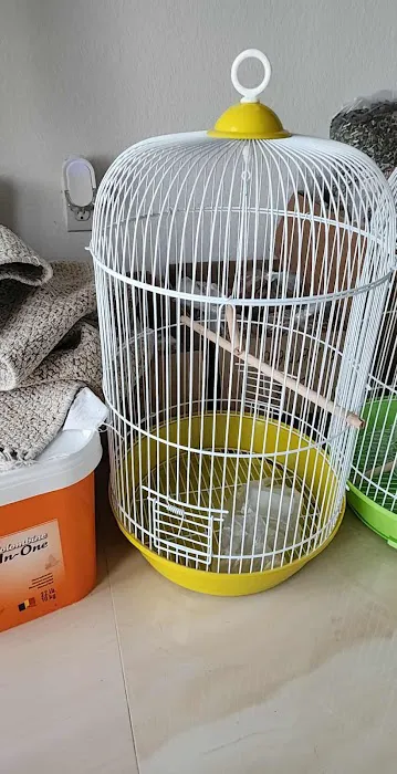 Rigos petshop Picture 7