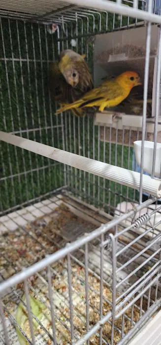 Rigos petshop Picture 5