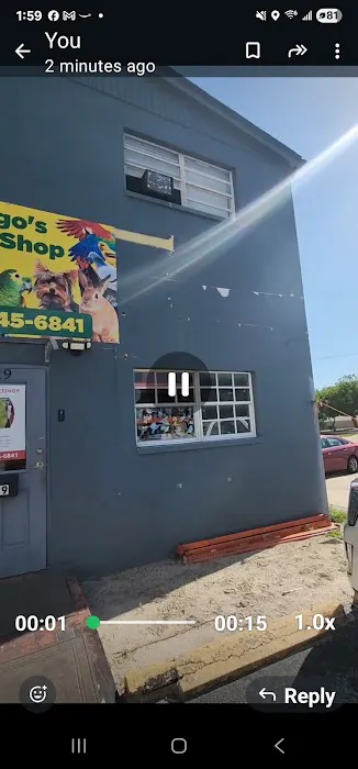 Rigos petshop Picture 9
