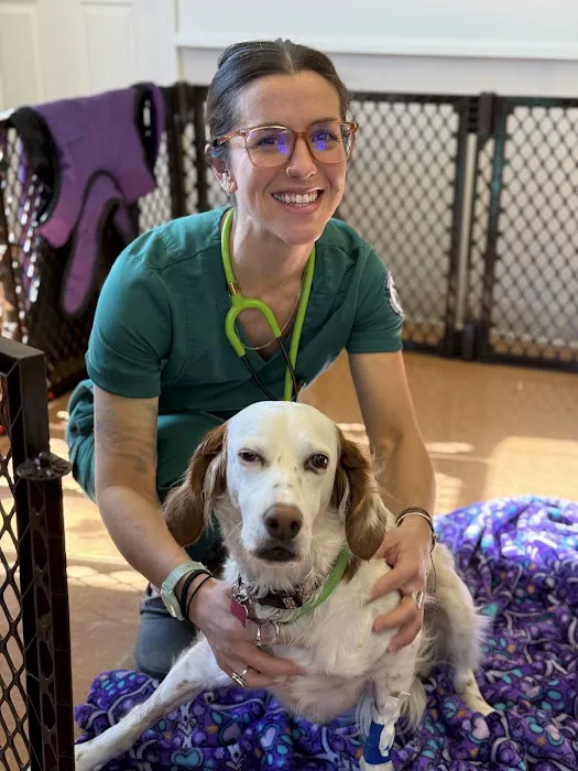 Baystate Mobile Veterinary Services Picture 2