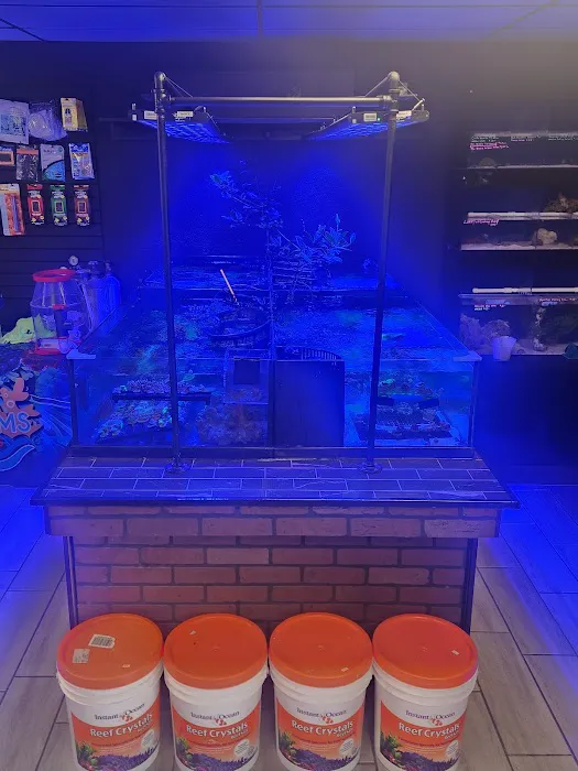 Dreamscape Aquariums Picture 4