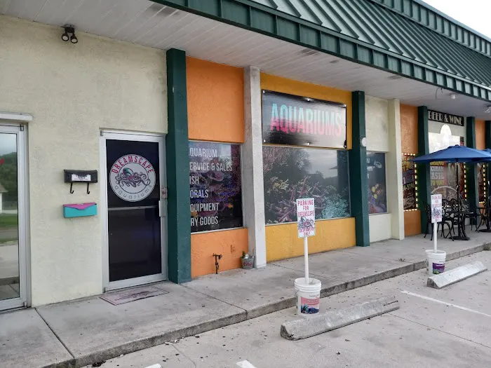 Dreamscape Aquariums Picture 7