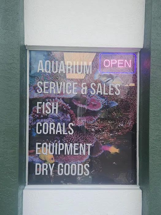 Dreamscape Aquariums Picture 8