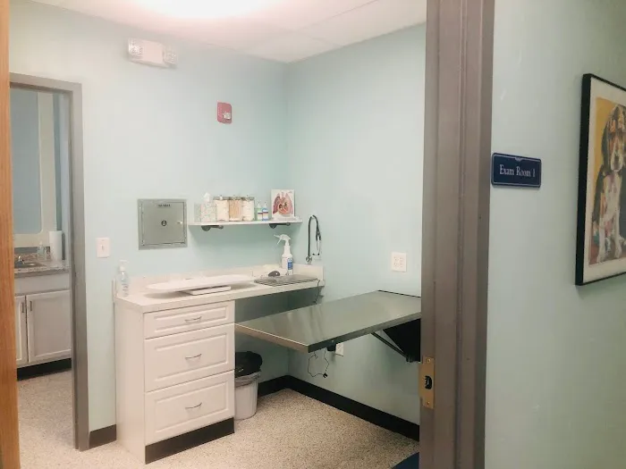 Second Chance Animal Services Community Veterinary Hospital Picture 1